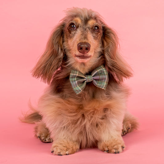Green Plaid: Bow Tie