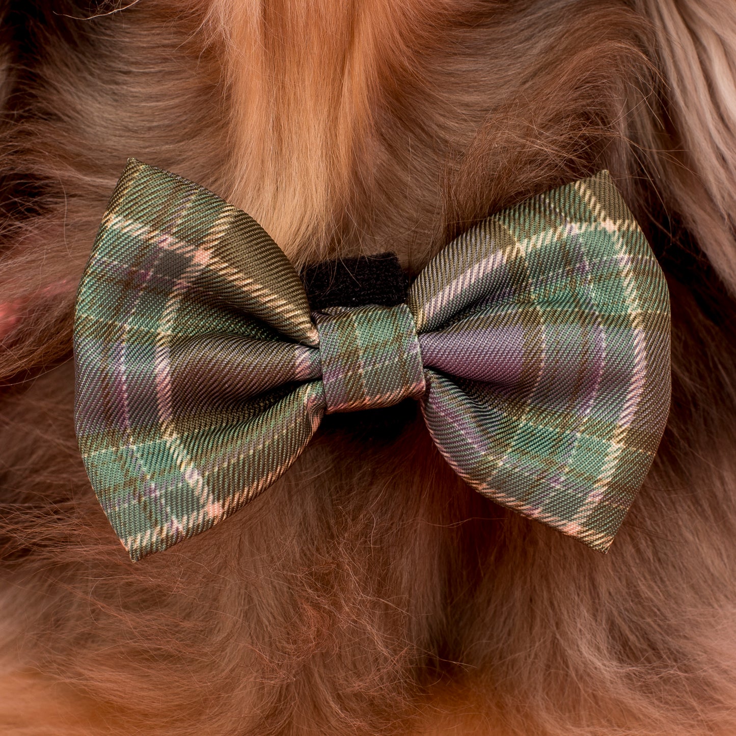 Green Plaid: Bow Tie