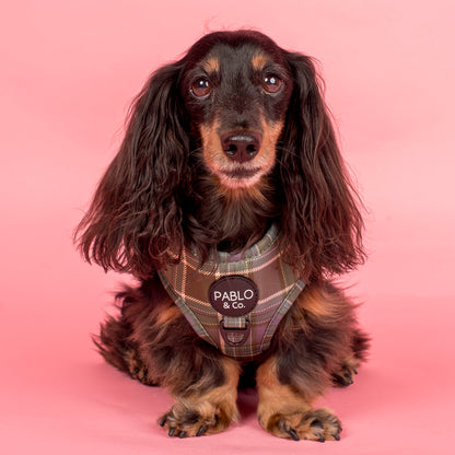 Green Plaid: Adjustable Harness