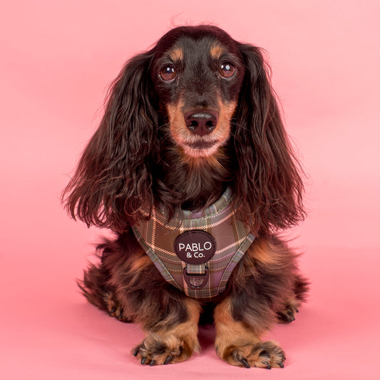 Green Plaid: Adjustable Harness