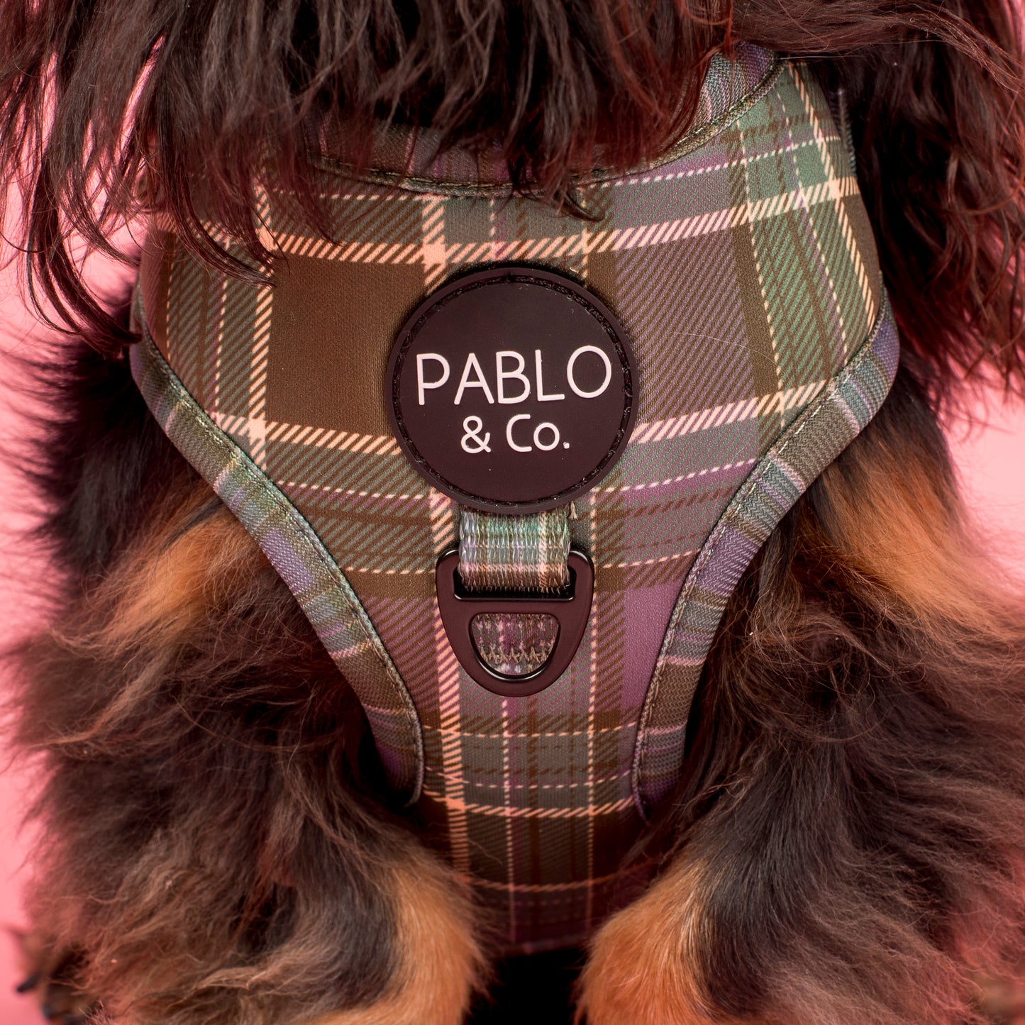 Green Plaid: Adjustable Harness