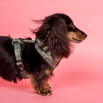 Green Plaid: Adjustable Harness