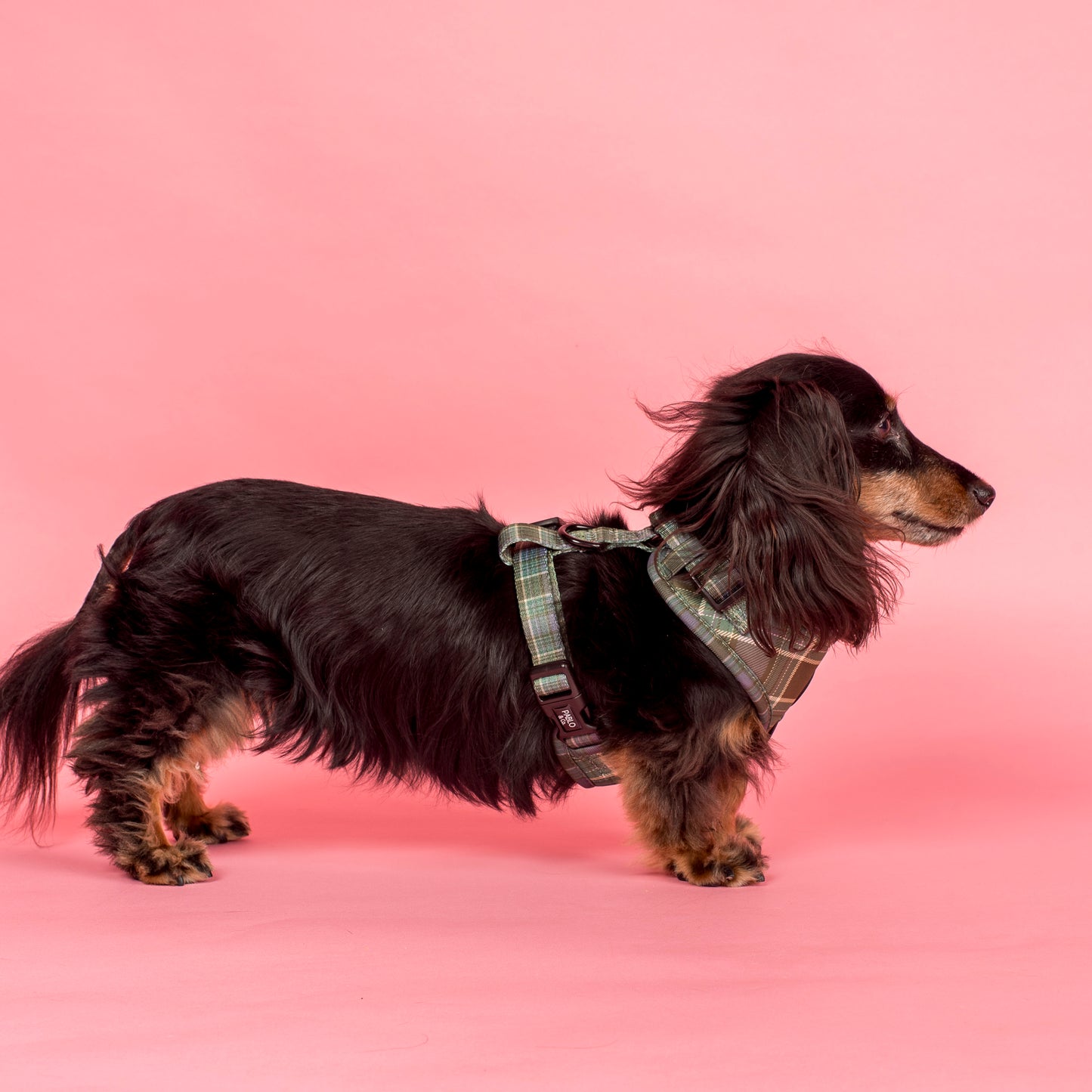 Green Plaid: Adjustable Harness