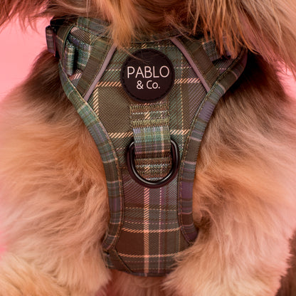 Green Plaid: No Pull Adventure Harness