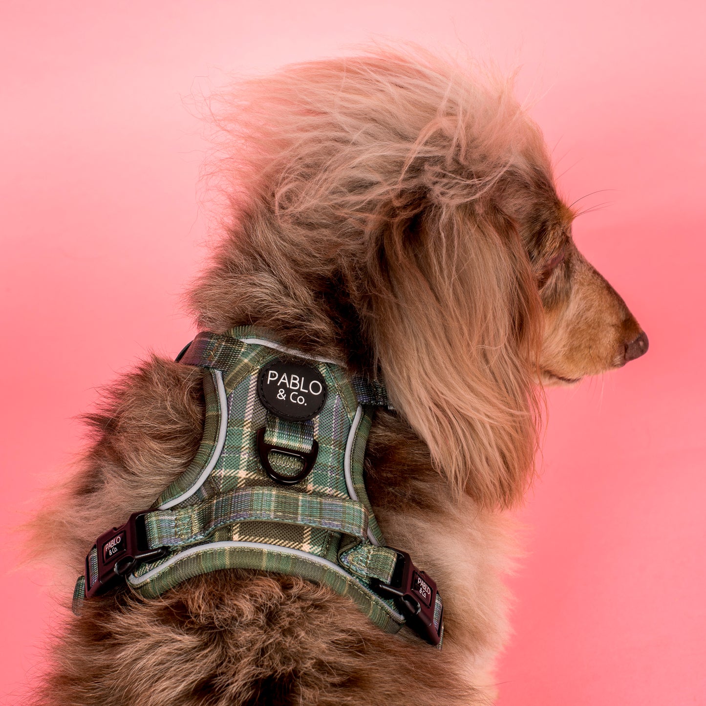 Green Plaid: No Pull Adventure Harness
