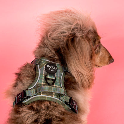 Green Plaid: No Pull Adventure Harness