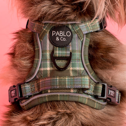 Green Plaid: No Pull Adventure Harness