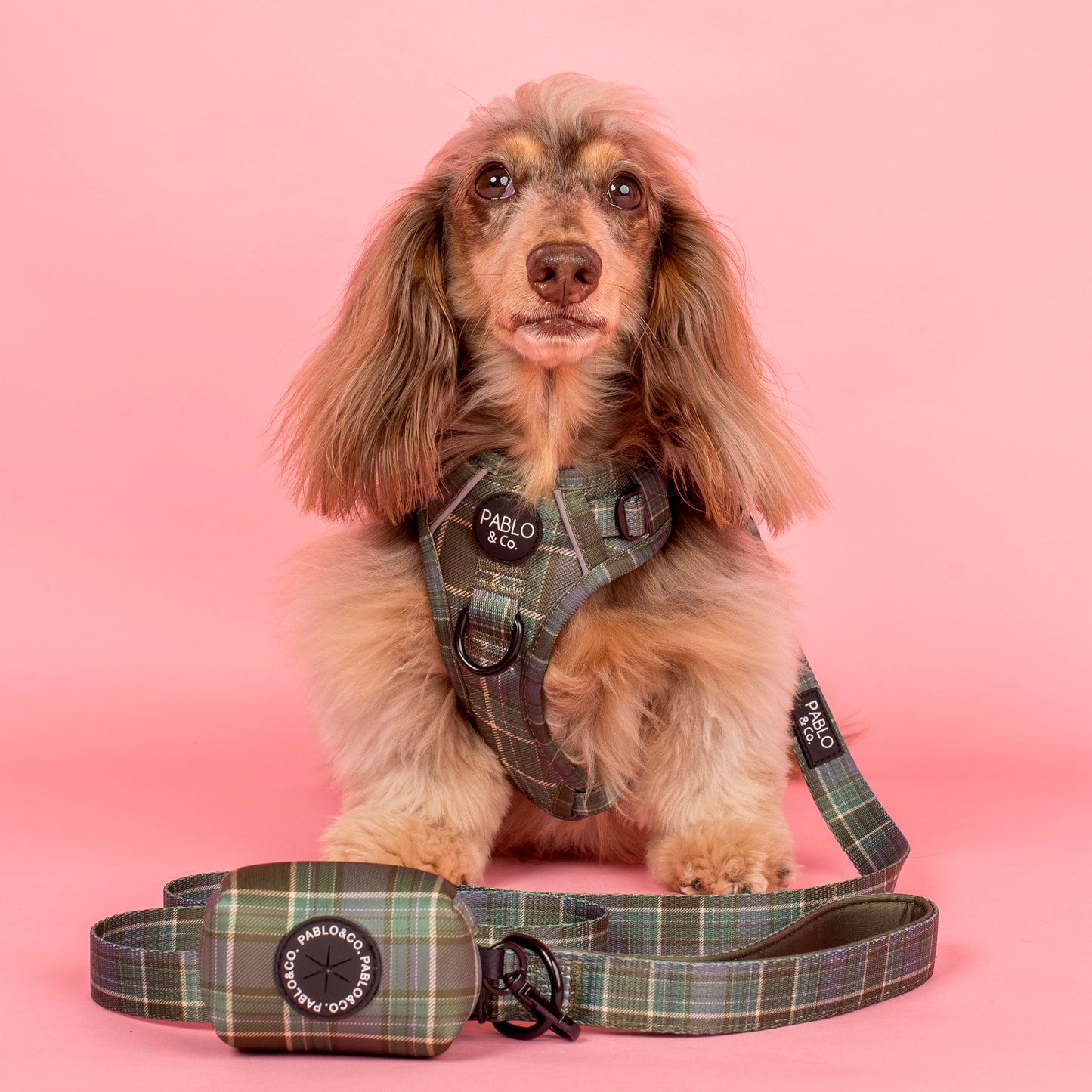 Green Plaid: Poop Bag Holder