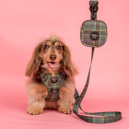 Green Plaid: Dog Leash