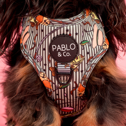 Gone Fishing: Adjustable Harness