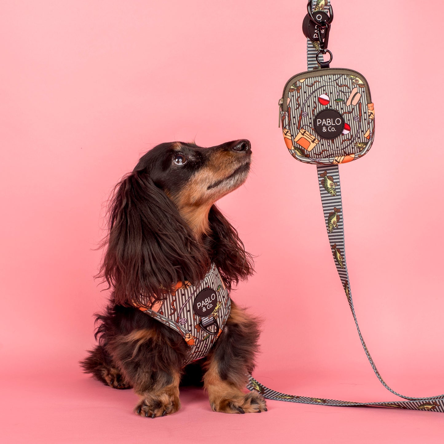 Gone Fishing: Treat Pouch