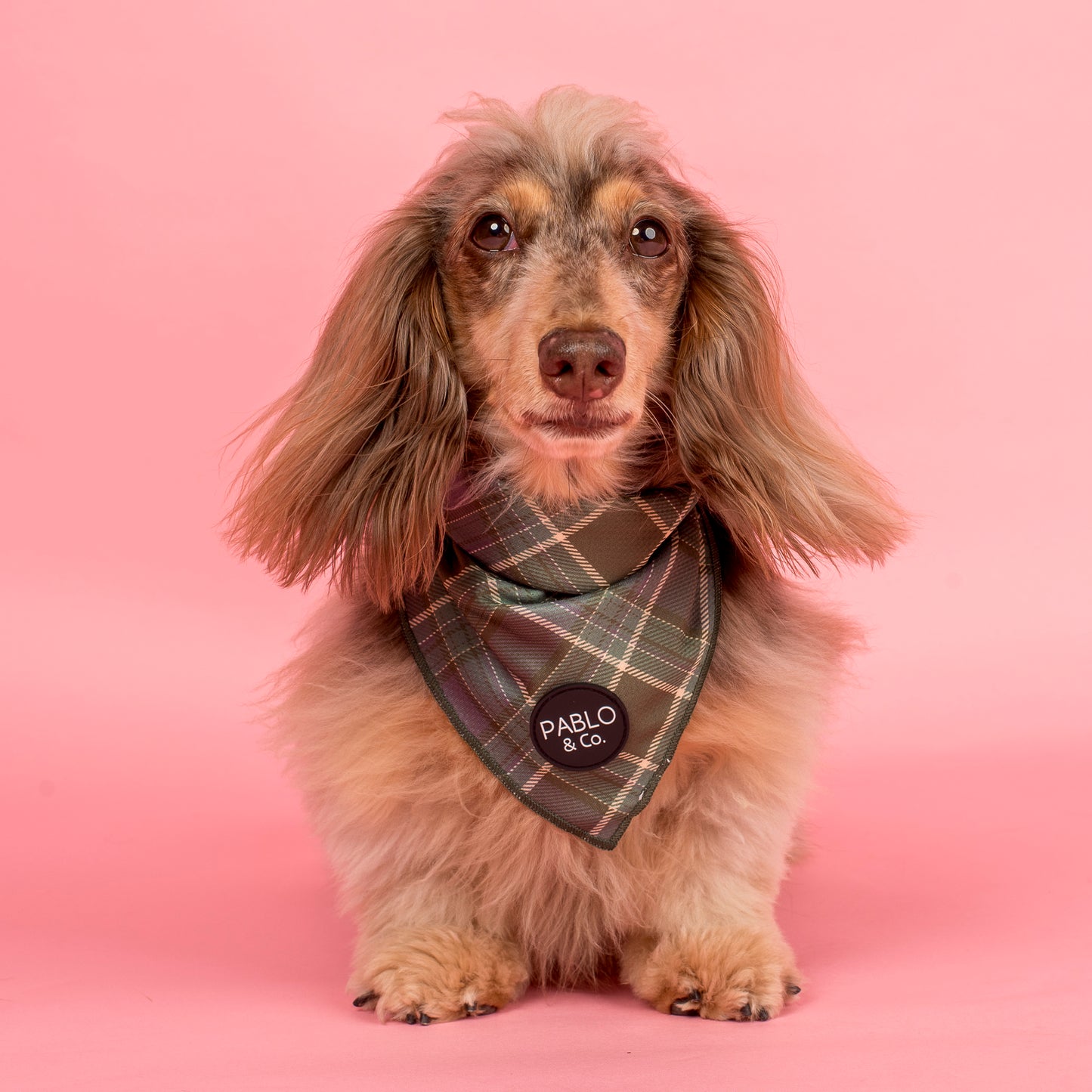 Green Plaid: Dog Bandana