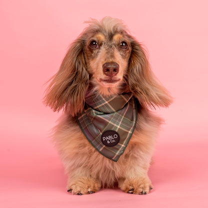 Green Plaid: Dog Bandana