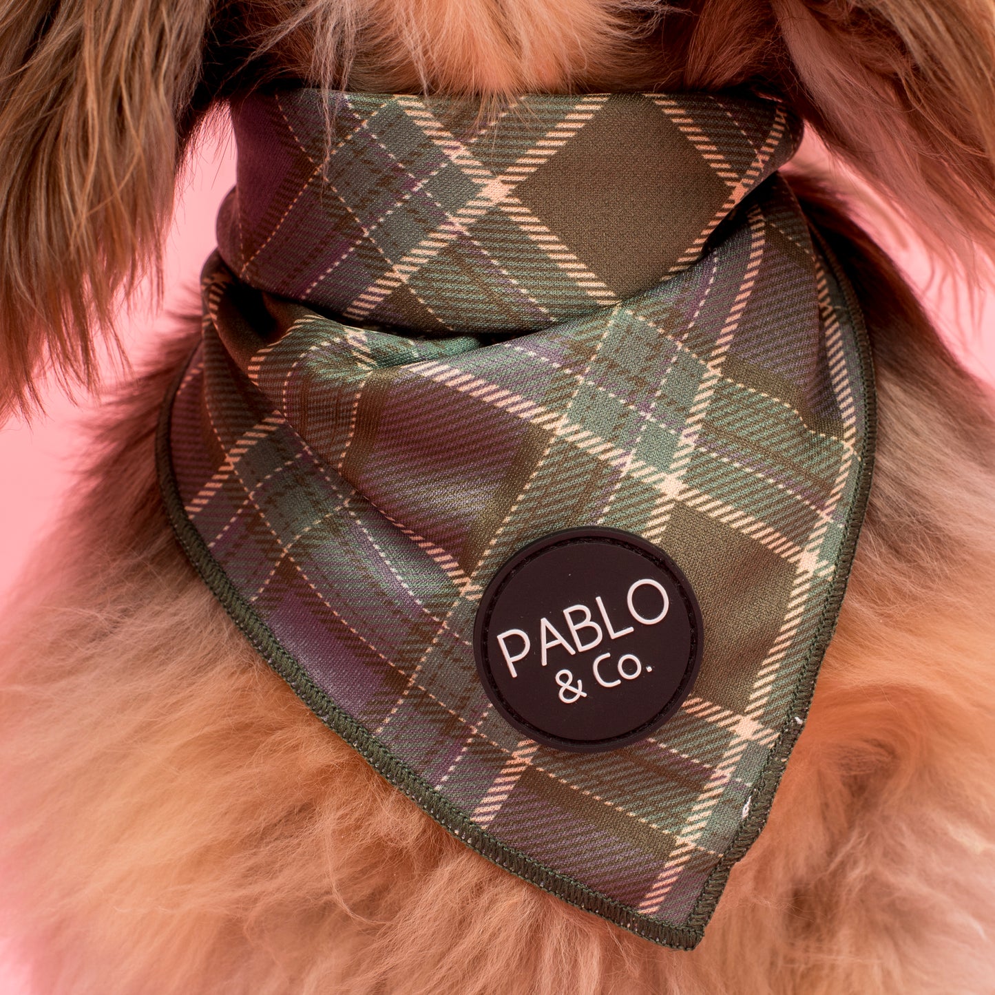 Green Plaid: Dog Bandana