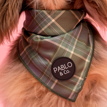 Green Plaid: Dog Bandana