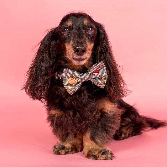 Gone Fishing: Bow Tie