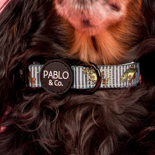 Gone Fishing: Collar