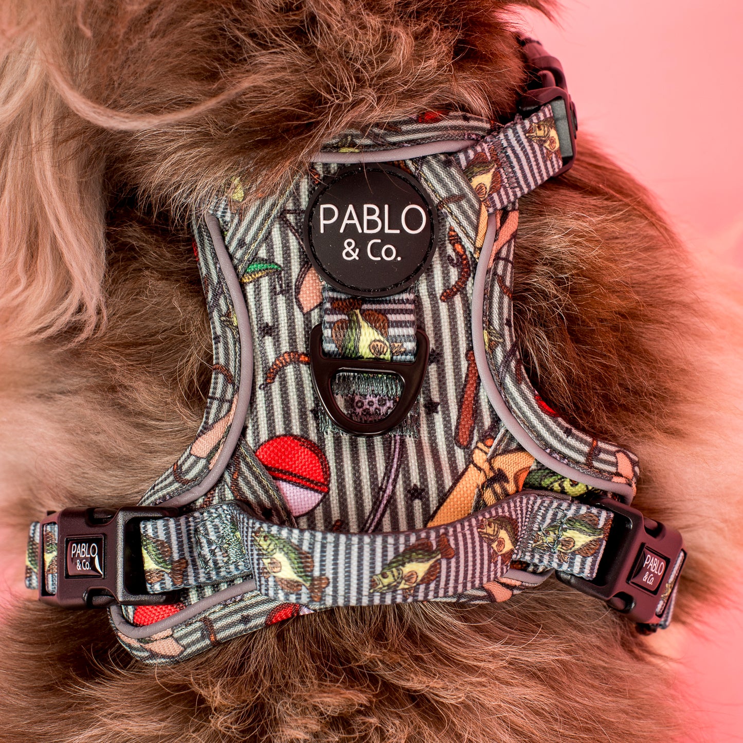 Gone Fishing: No Pull Adventure Harness