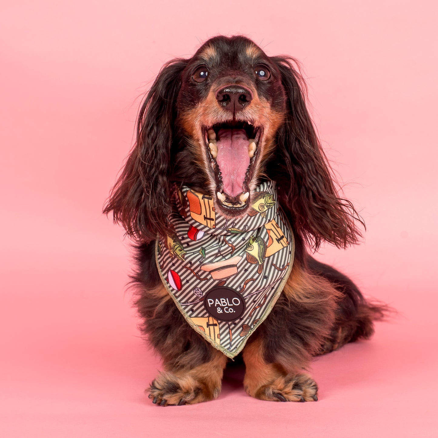 Gone Fishing: Dog Bandana