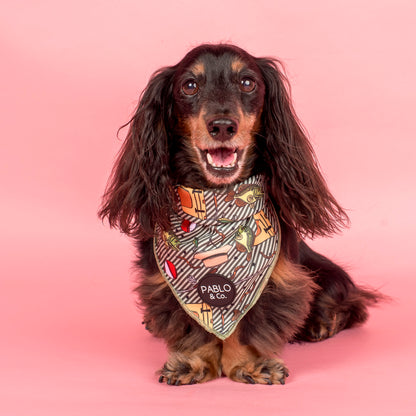 Gone Fishing: Dog Bandana