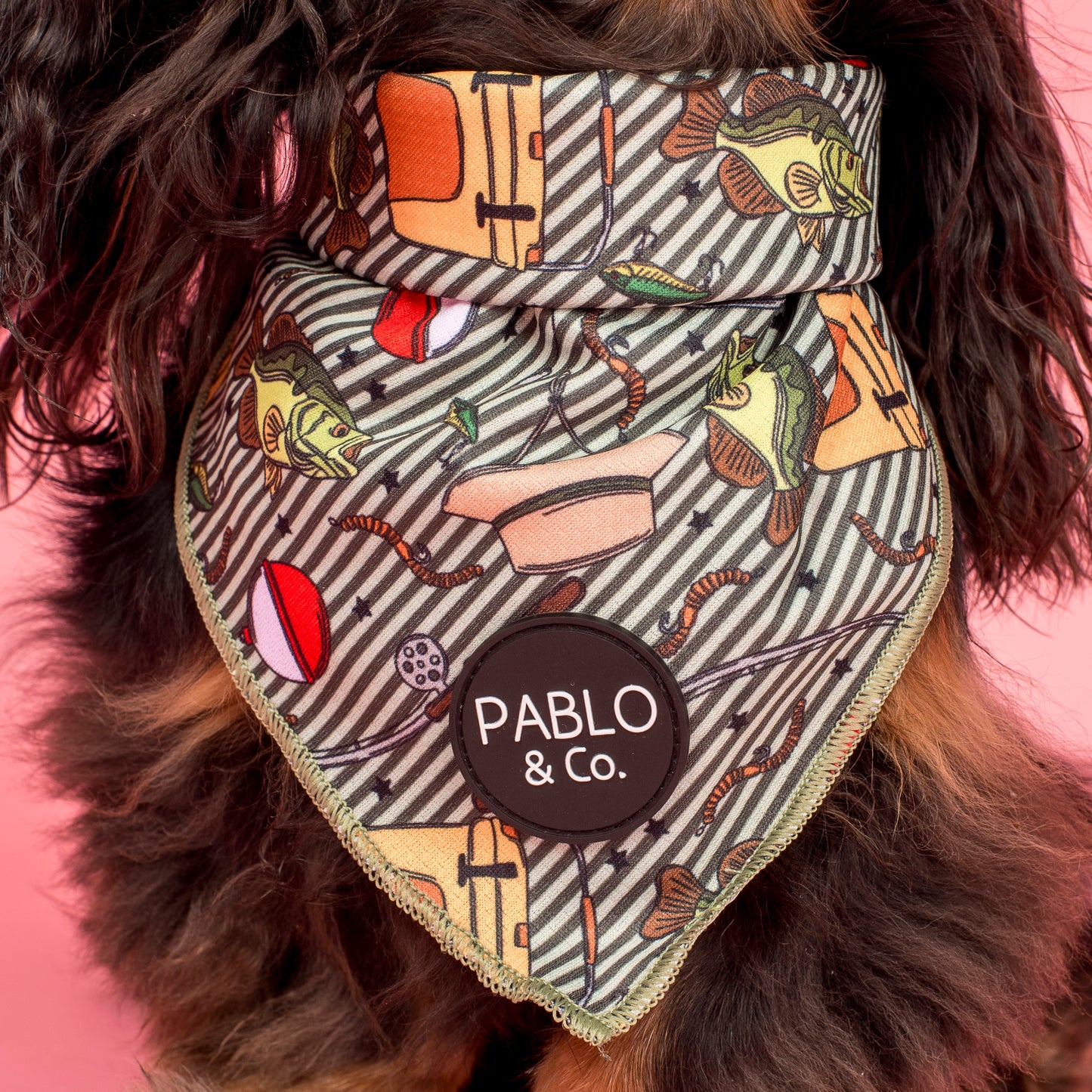 Gone Fishing: Dog Bandana