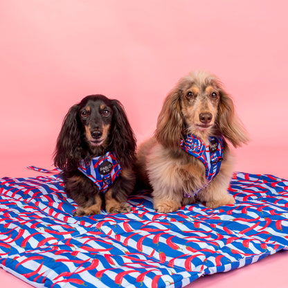 Deluxe Travel Mat: Hot Chillies