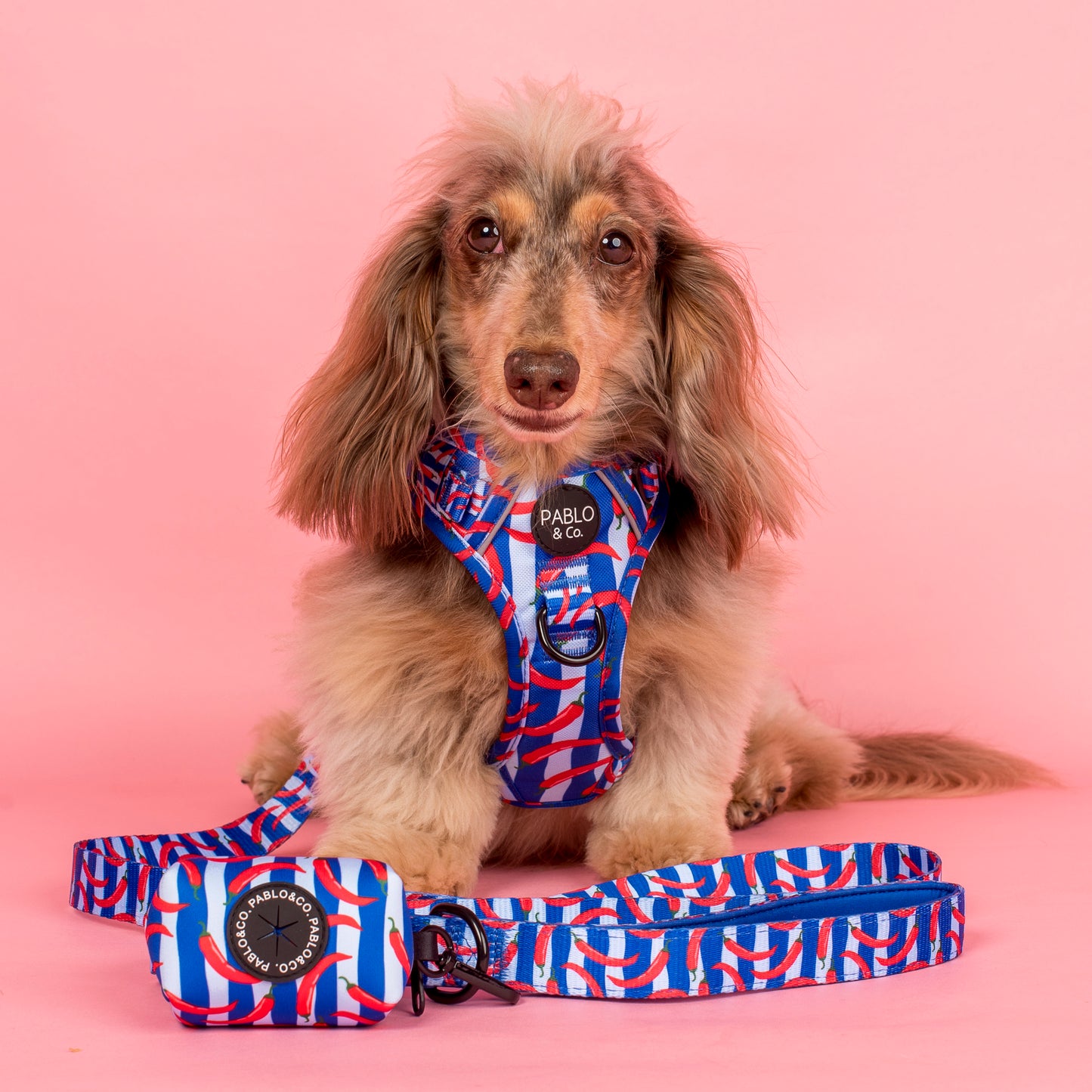 Hot Chillies: Poop Bag Holder