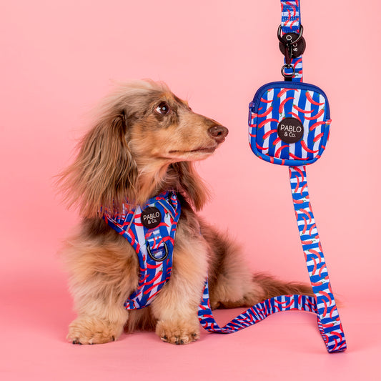 Hot Chillies: Treat Pouch