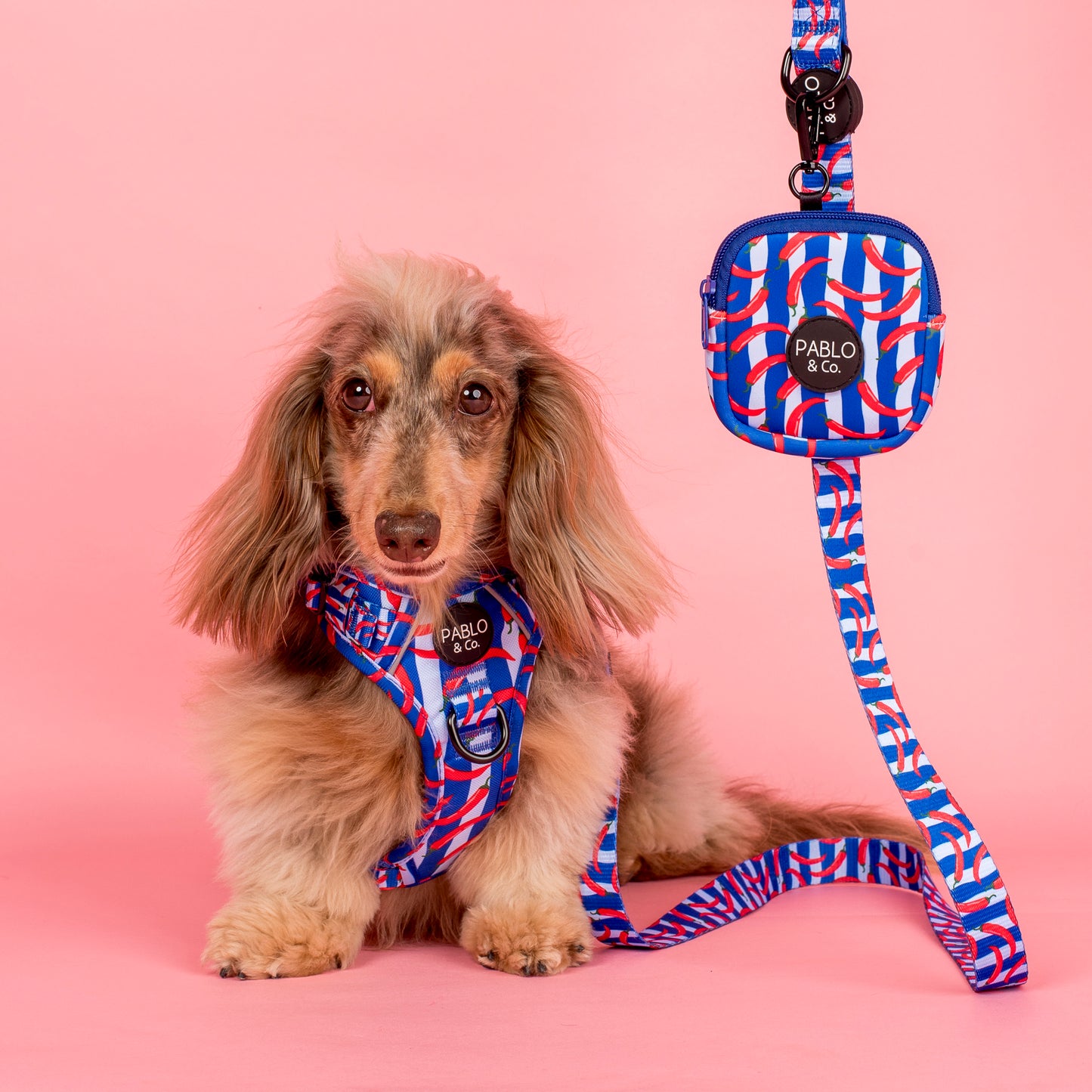 Hot Chillies: Dog Leash