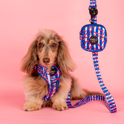 Hot Chillies: Dog Leash