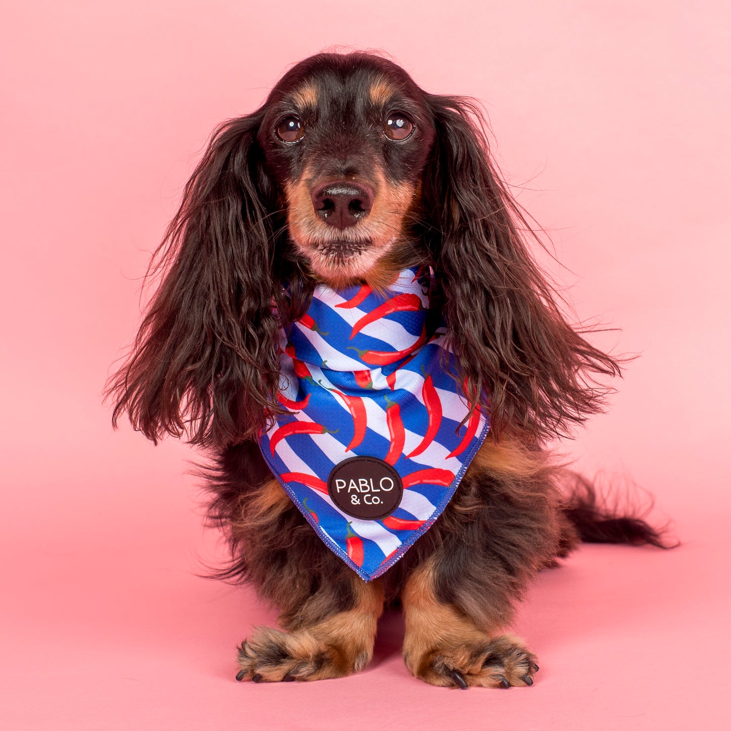 Hot Chillies: Dog Bandana