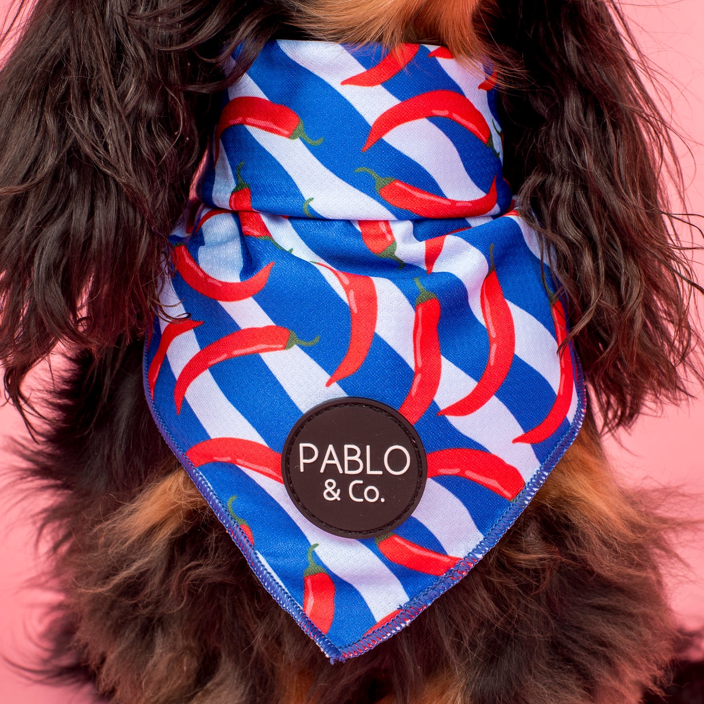 Hot Chillies: Dog Bandana