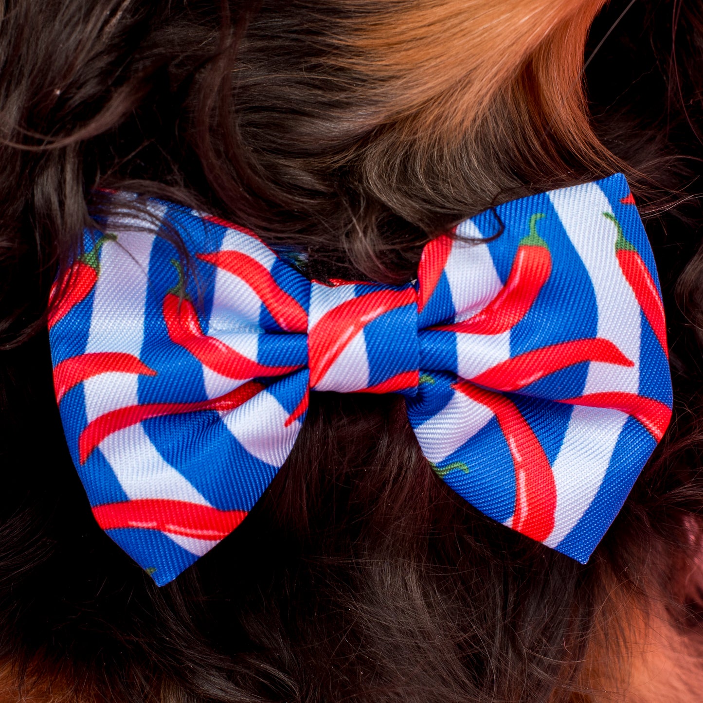 Hot Chillies: Bow Tie