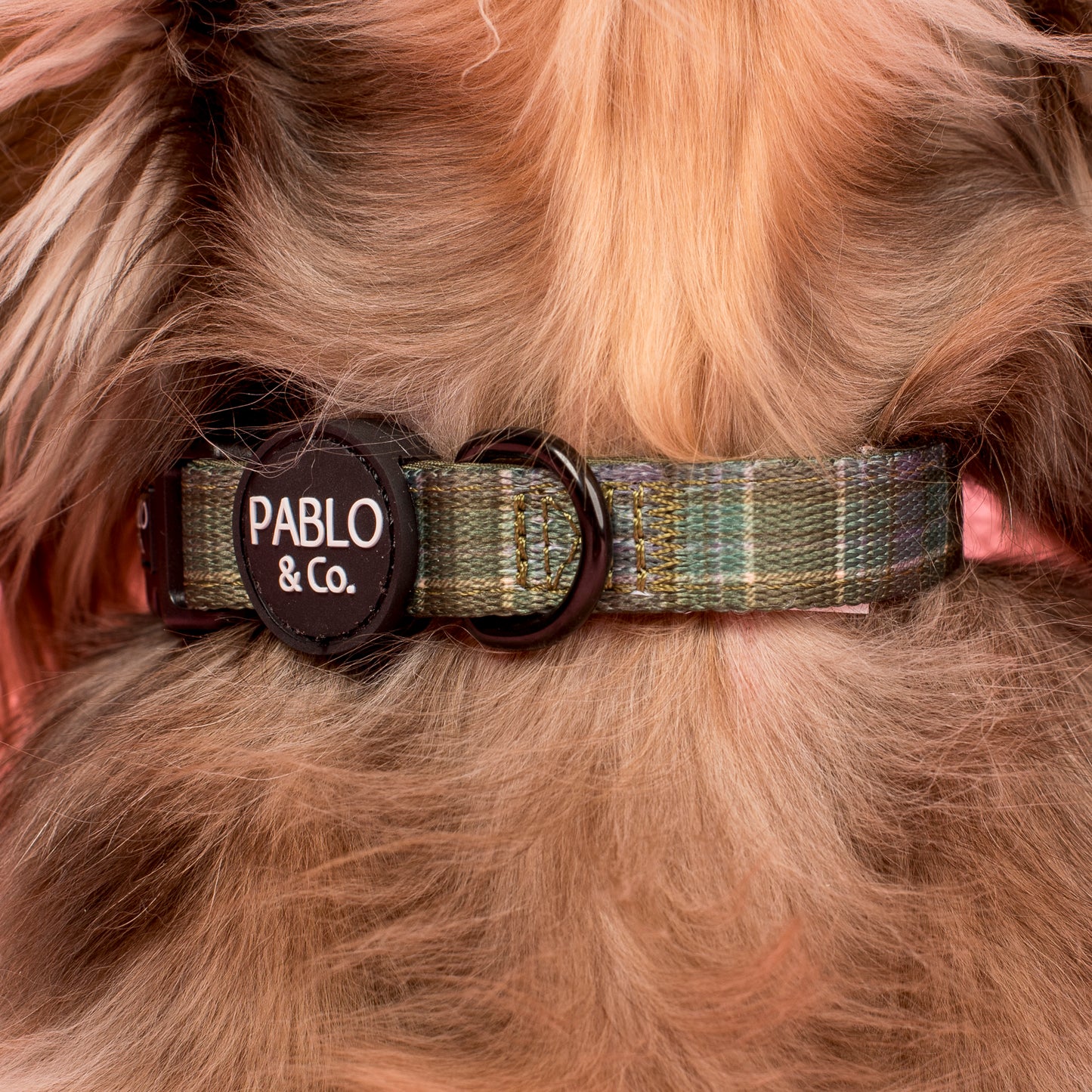 Green Plaid: Collar