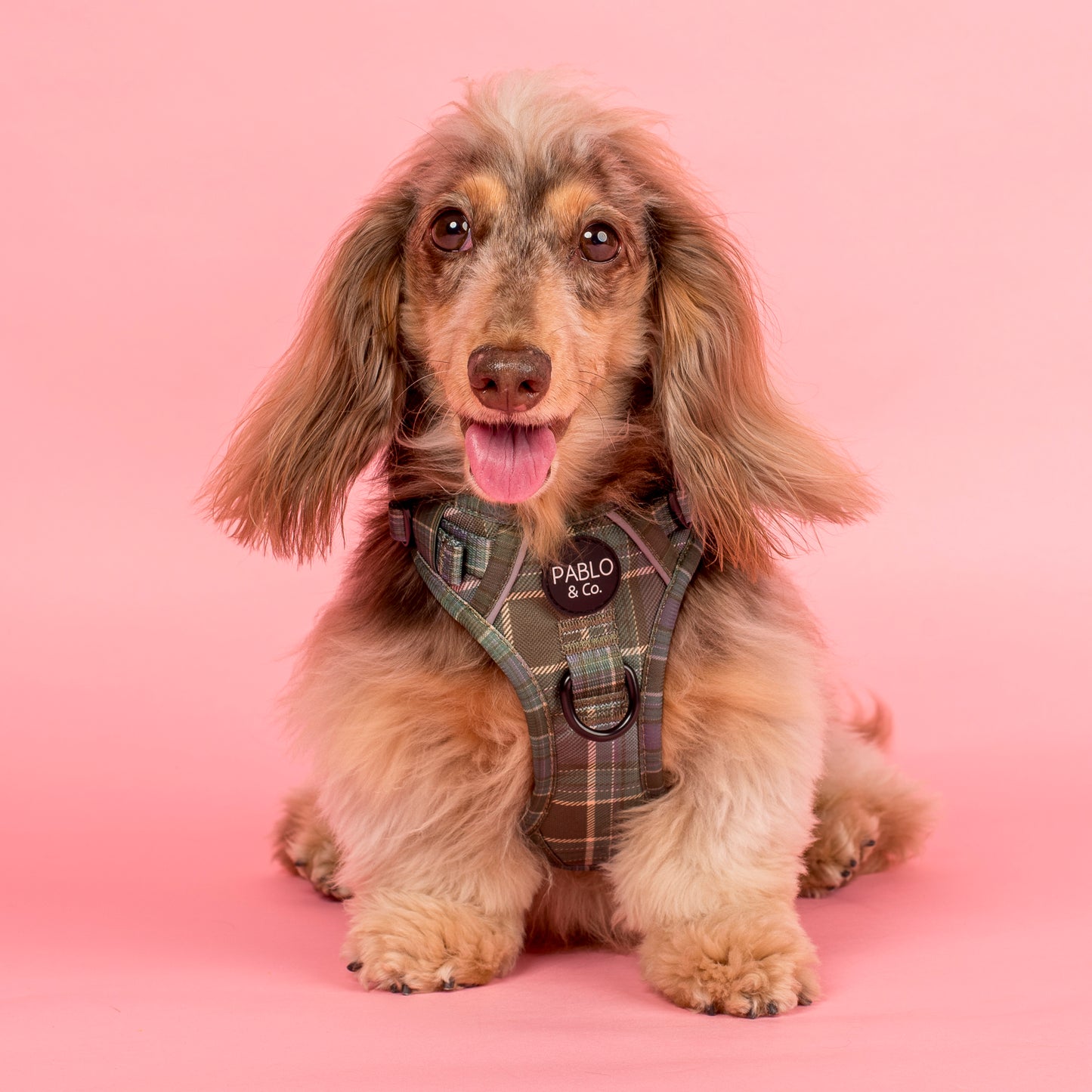 Green Plaid: No Pull Adventure Harness