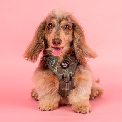 Green Plaid: No Pull Adventure Harness
