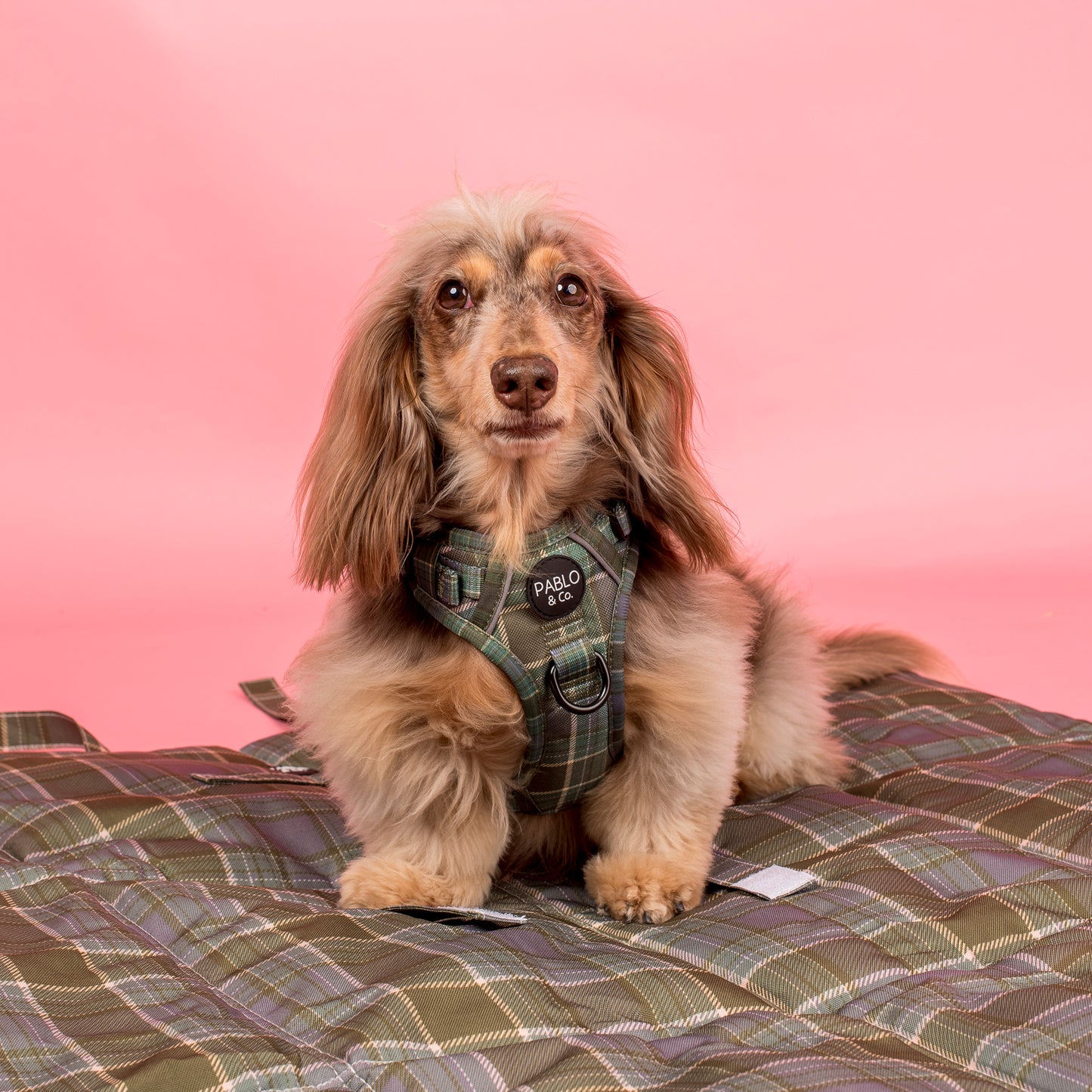 Deluxe Travel Mat: Green Plaid