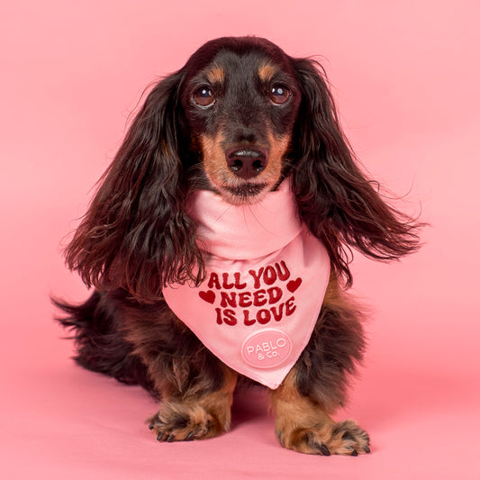 All You Need Is Love: Dog Bandana