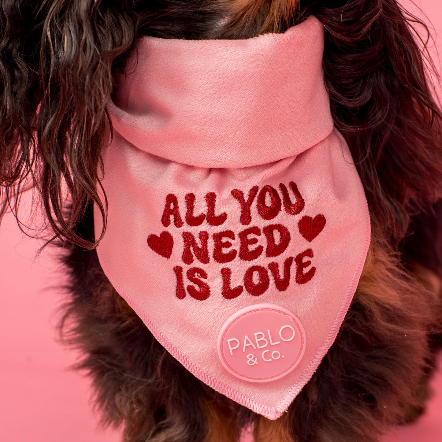 All You Need Is Love: Dog Bandana