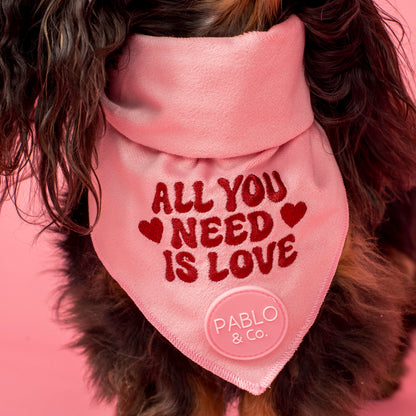 All You Need Is Love: Dog Bandana