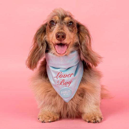 Lover Boy: Dog Bandana