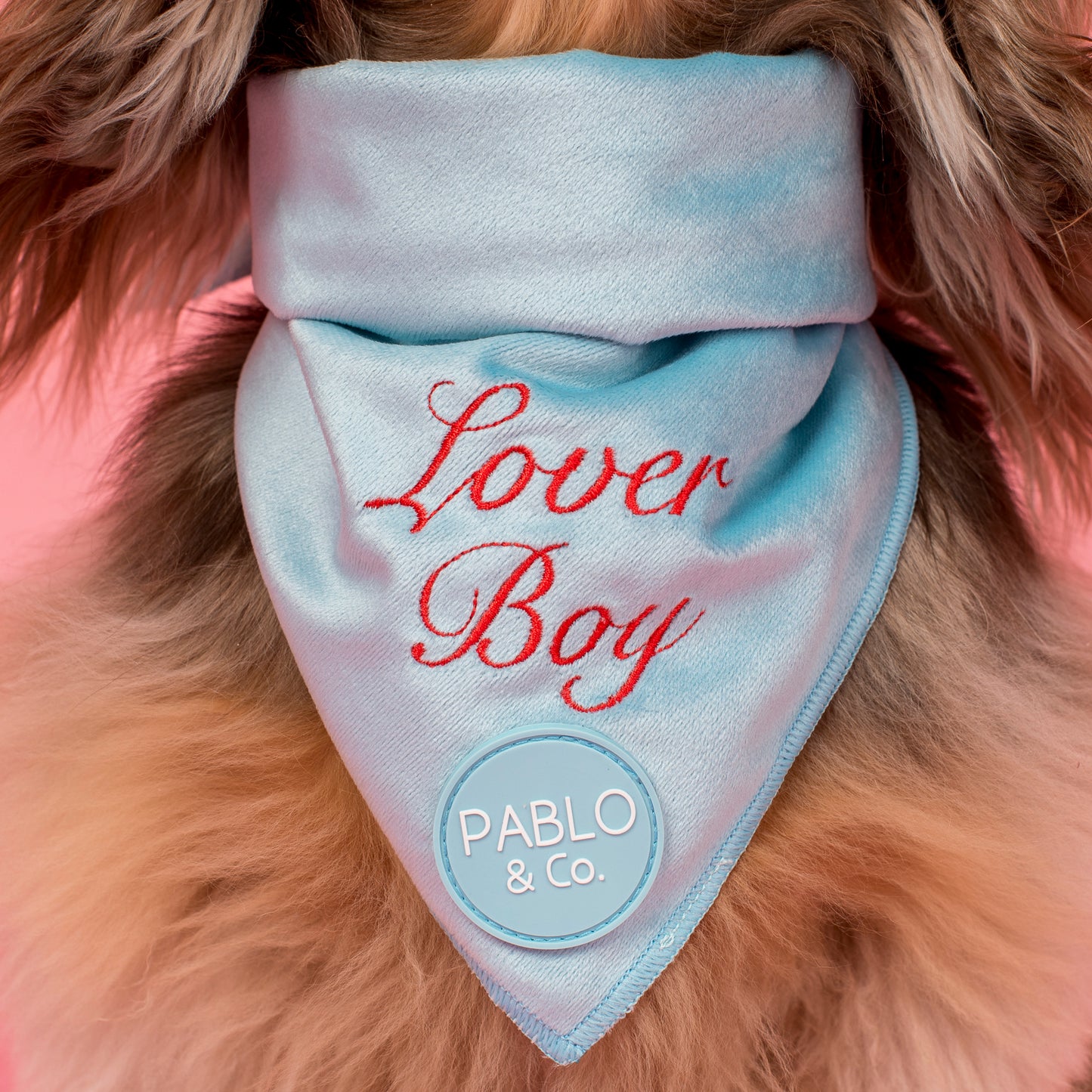 Lover Boy: Dog Bandana