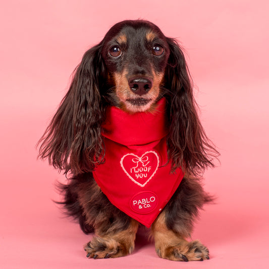 I Woof You: Dog Bandana