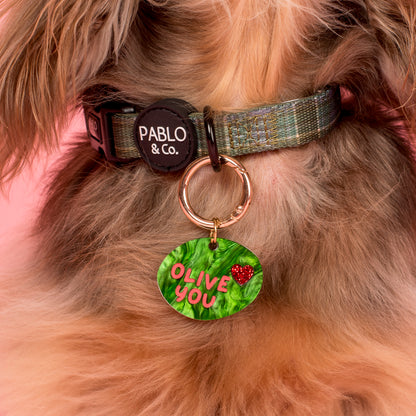 Personalised Pet ID Tag: Olive You