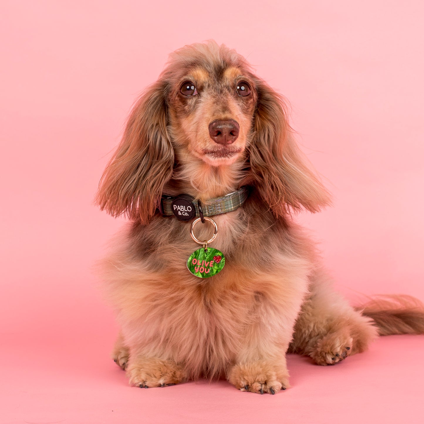 Personalised Pet ID Tag: Olive You