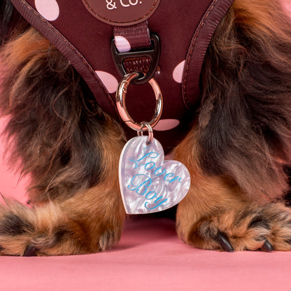 Personalised Pet ID Tag: Lover Boy