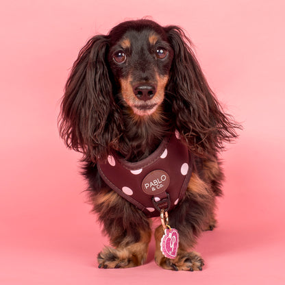 Personalised Pet ID Tag: Initial Locket Pink