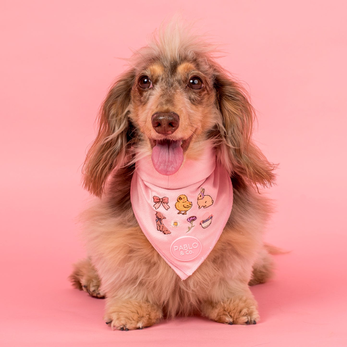 Easter Parade: Velvet Dog Bandana