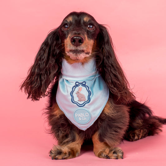 Easter Bunny: Velvet Dog Bandana