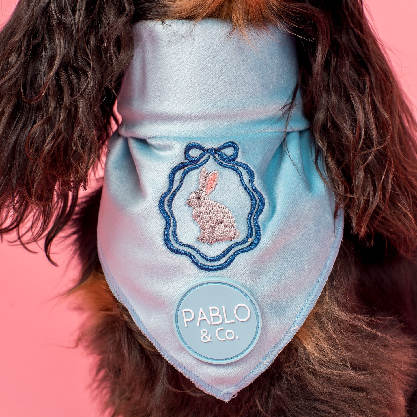 Easter Bunny: Velvet Dog Bandana